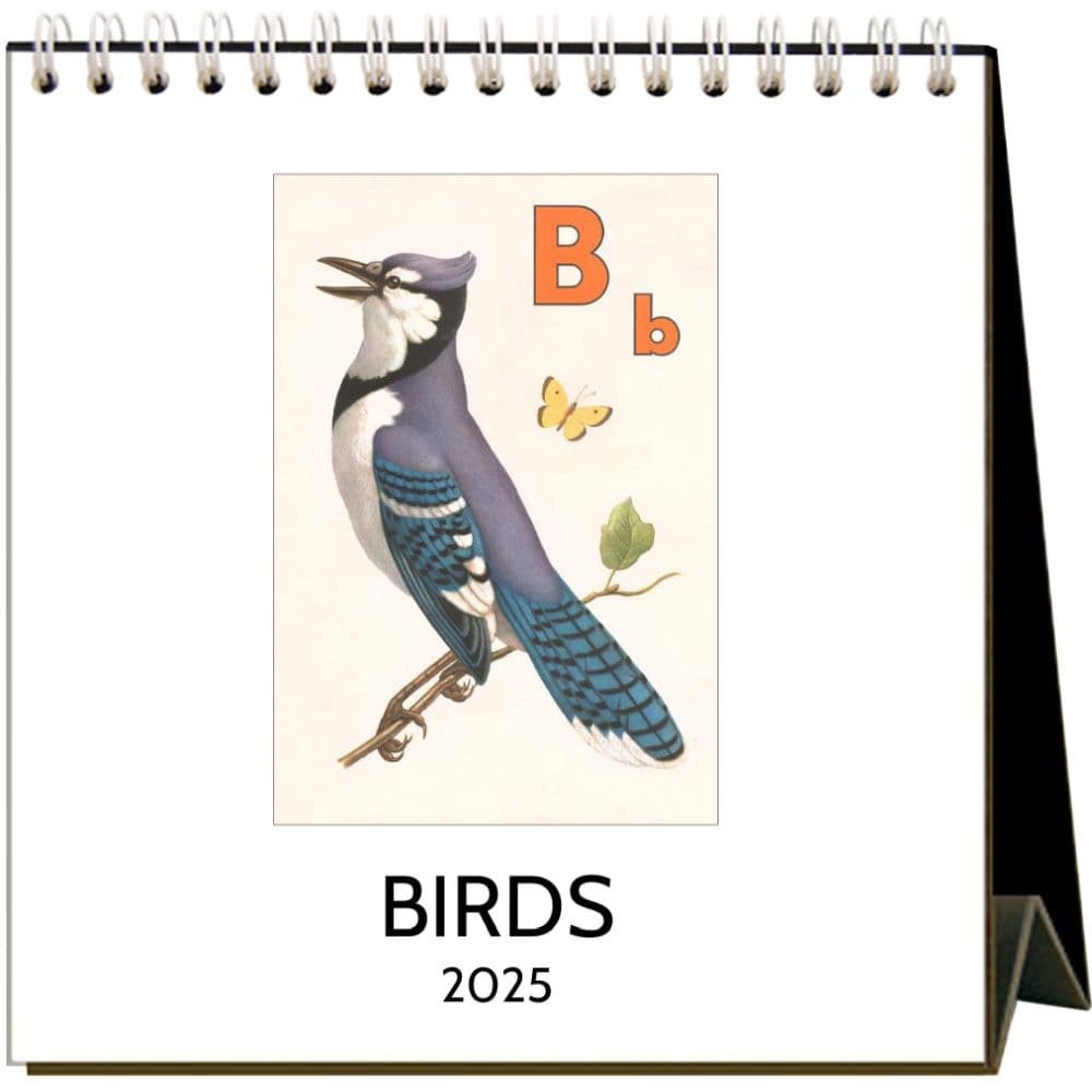 Birds 2025 Easel Desk Calendar Main Image