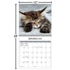 image Cats Photo 2025 Wall Calendar