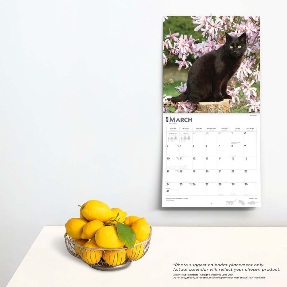 Black Cats 2024 Wall Calendar Alternate Image 3