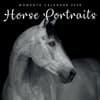 image Horse Portraits 2025 Wall Calendar Main Product Image width=&quot;1000&quot; height=&quot;1000&quot;