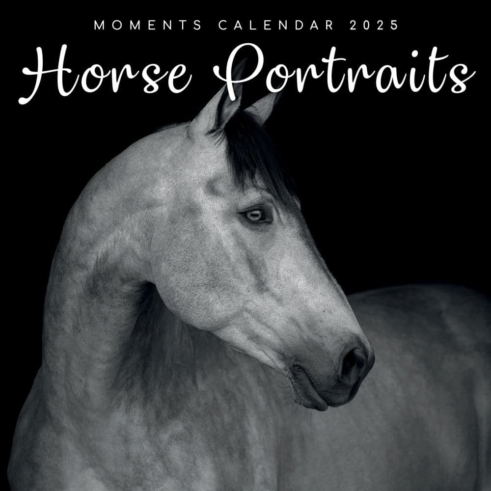 Horse Portraits 2025 Wall Calendar Main Product Image width=&quot;1000&quot; height=&quot;1000&quot;