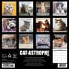image Cat Astrophe 2026 Wall Calendar First Alternate Image