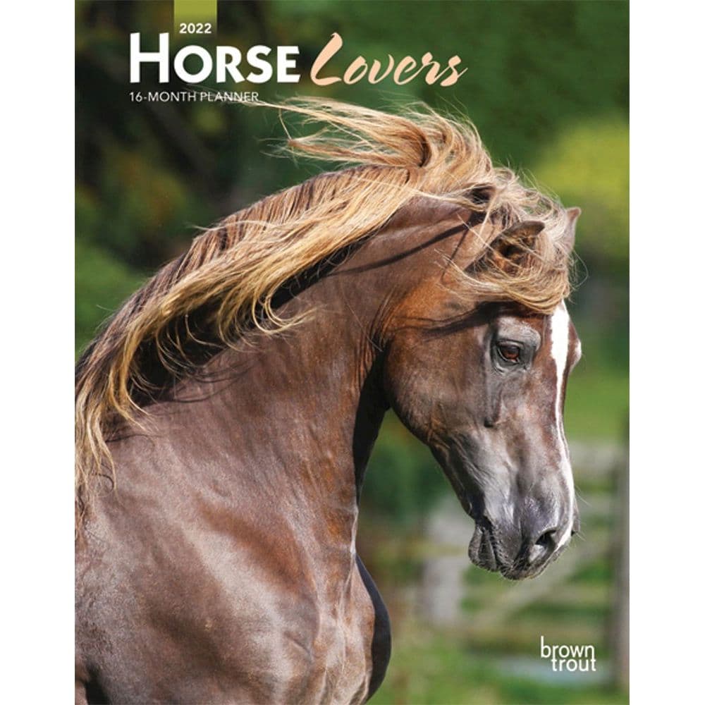 Horse Lovers 2022 Engagement