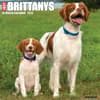 image Just Brittanys 2026 Wall Calendar Main Image