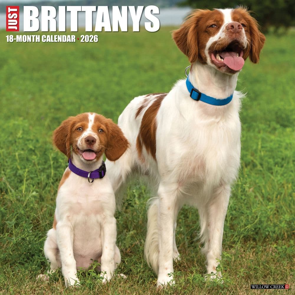 Just Brittanys 2026 Wall Calendar Main Image