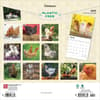 image Chickens 2025 Wall Calendar