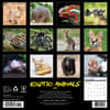 image Exotic Animals 2026 Wall Calendar
