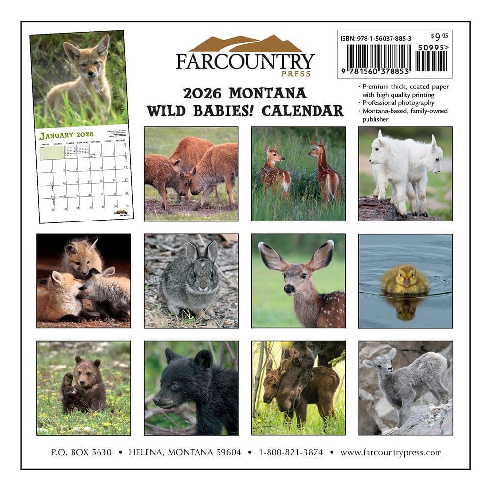 Montana Wild Babies 2026 Mini Wall Calendar First Alternate Image