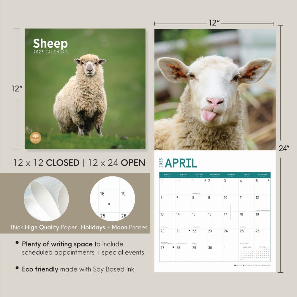 Sheep 2025 Wall Calendar Seventh Alternate Image