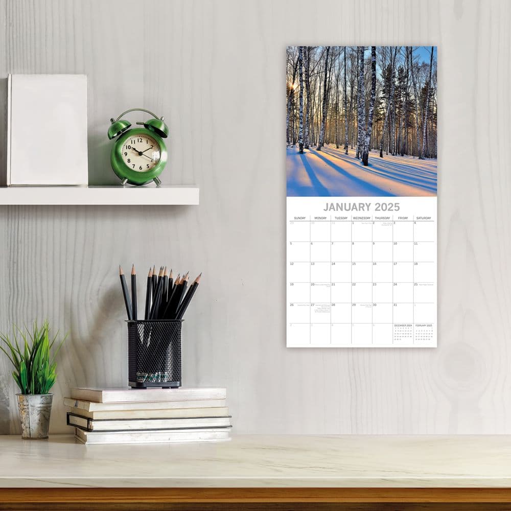 Woodland 2025 Wall Calendar