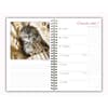 image Cat Naps Classic 2026 Engagement Planner Second Alternate Image