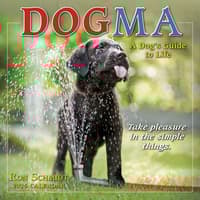 image Dogma 2026 Mini Wall Calendar