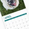 image Pugs 2025 Wall Calendar Sixth Alternate Image