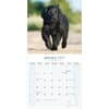 image Flatcoated Retriever 2027 Wall Calendar Second Alternate Image