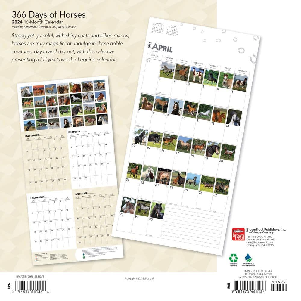 Horses 365 Days 2024 Wall Calendar Alternate Image 1