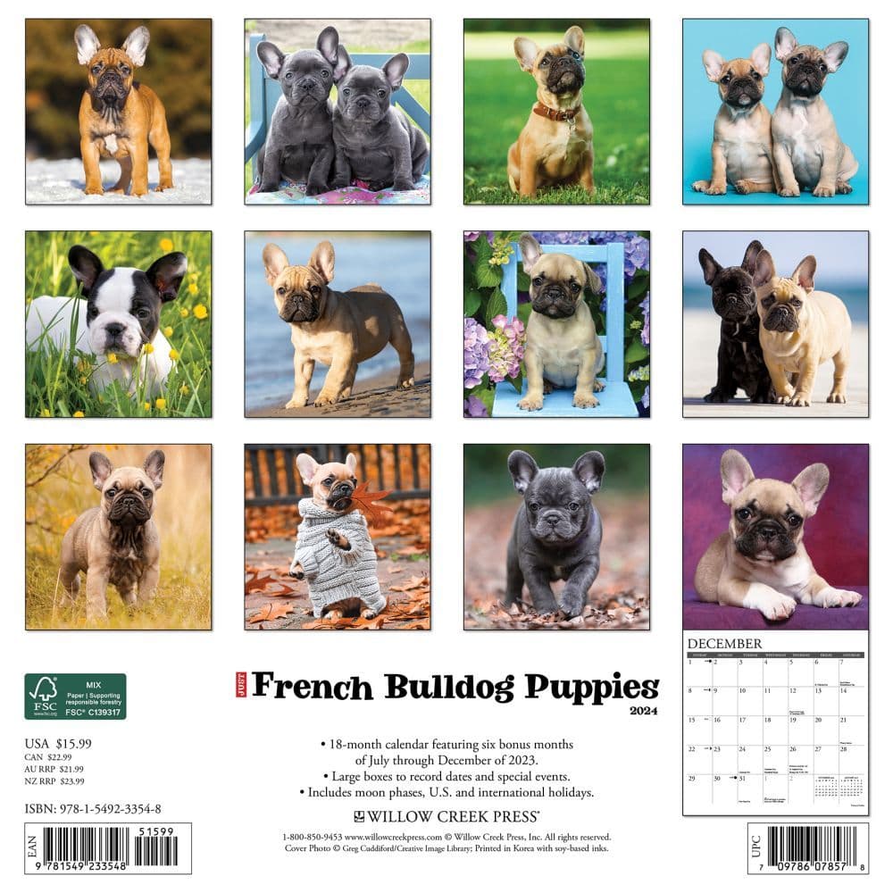 Just French Bulldog Puppies 2024 Wall Calendar