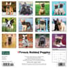 image French Bulldog Puppies Just 2024 Wall Calendar Alternate Image 1