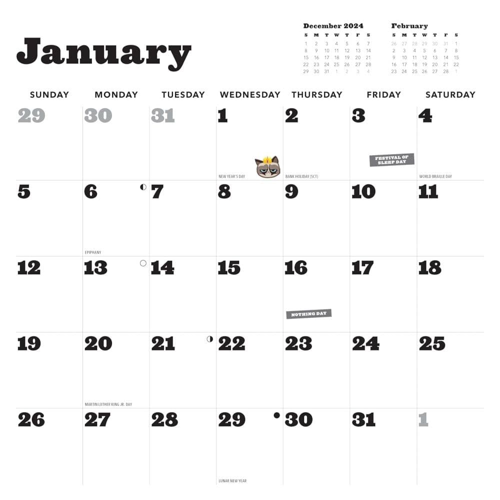 Grumpy Cat 2025 Wall Calendar Fourth Alternate Image width=&quot;1000&quot; height=&quot;1000&quot;