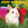 image Bunnies 2025 Wall Calendar Main Product Image width=&quot;1000&quot; height=&quot;1000&quot;