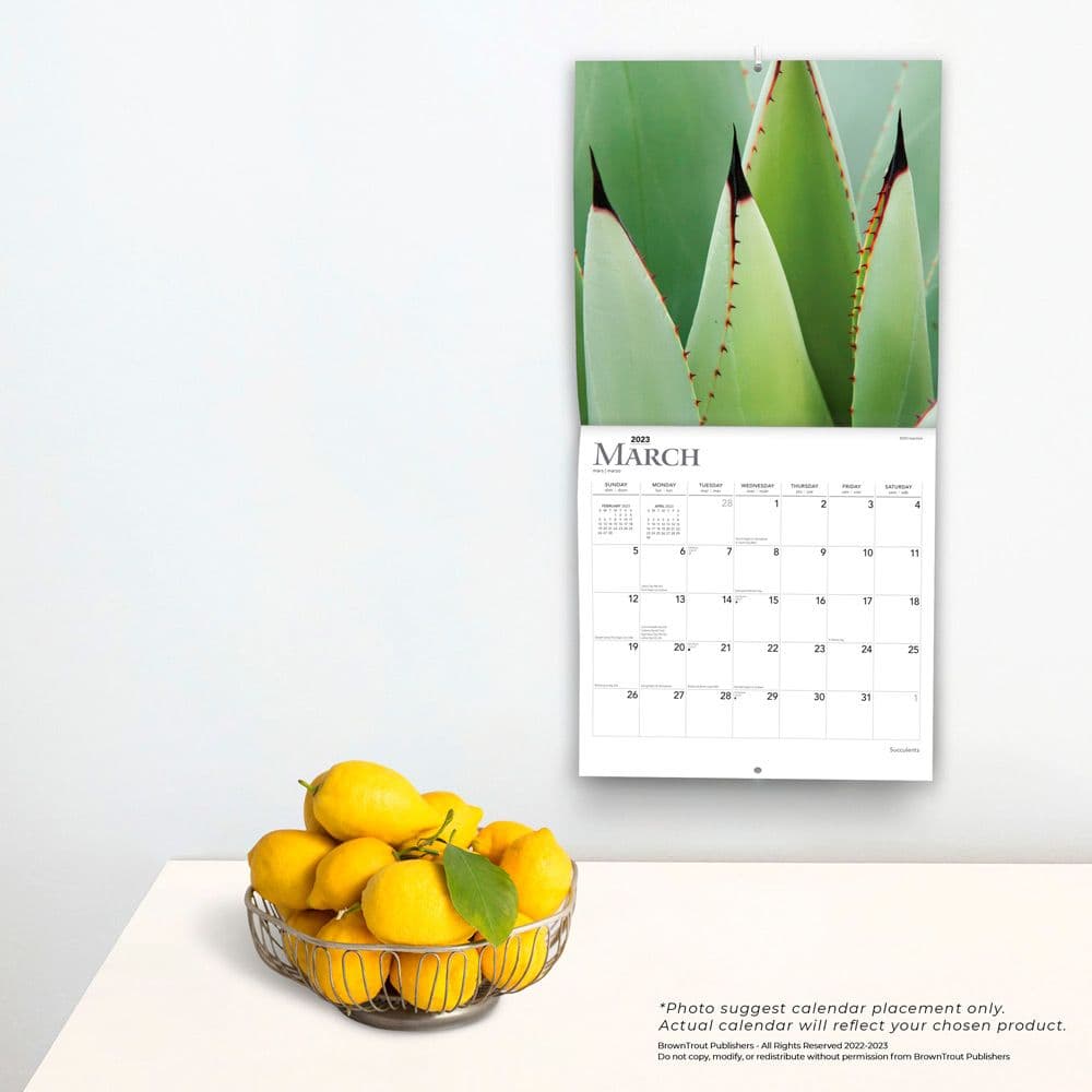 Succulents 2023 Wall - Calendars.com