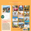 image Dogs on Vacation 2026 Wall Calendar