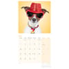 image Dogs in Disguise 2025 Wall Calendar Third Alternate Image width="1000" height="1000"