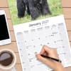 image Bouvier des Flandres 2027 Wall Calendar