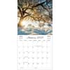 image Seasons Photo 2025 Mini Wall Calendar