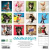 image Chihuahua Rules 2025 Wall Calendar