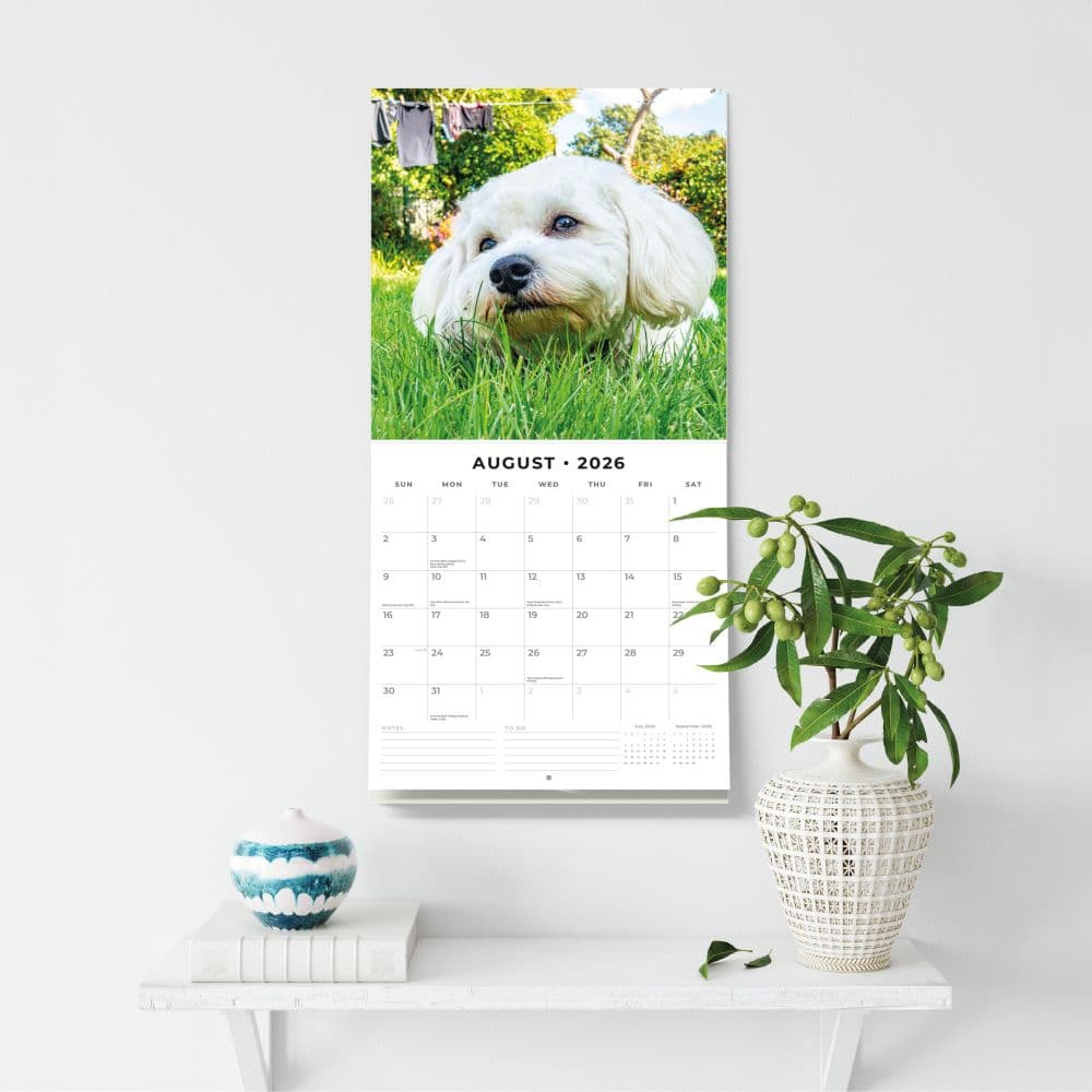 Cavapoos 2026 Wall Calendar Third Alternate Image