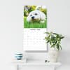 image Cavapoos 2026 Wall Calendar Third Alternate Image