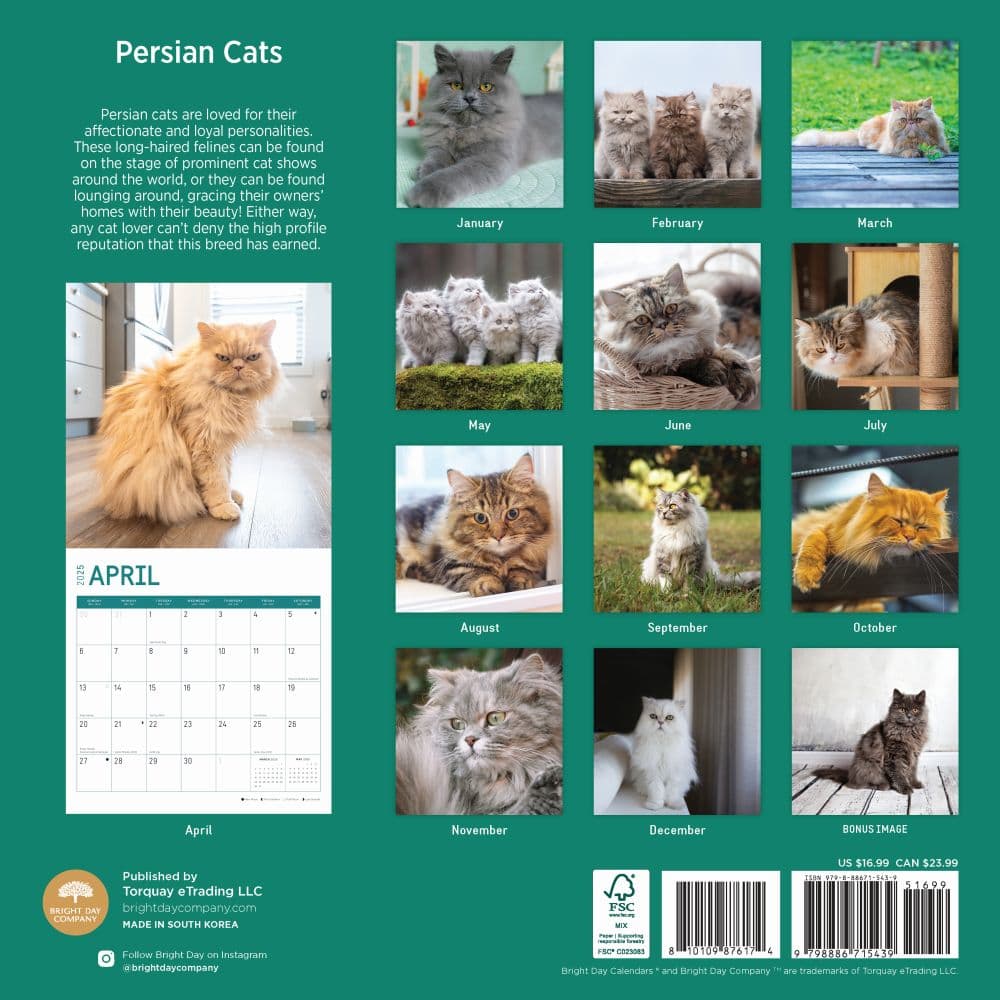 Persian Cat Calendar 2025 Images References :