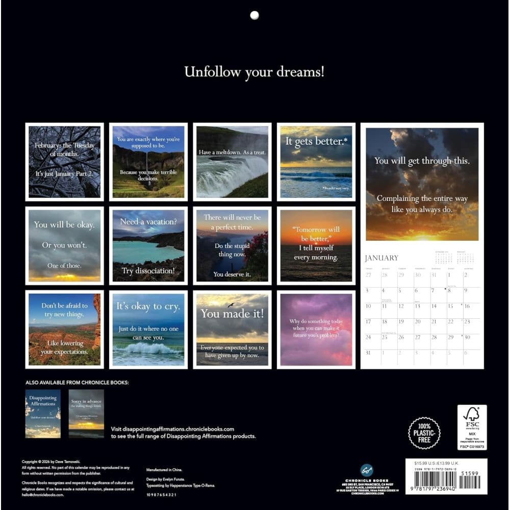 Disappointing Affirmations 2027 Wall Calendar First Alternate Image