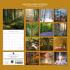image Woodland 2026 Wall Calendar First Alternate Image