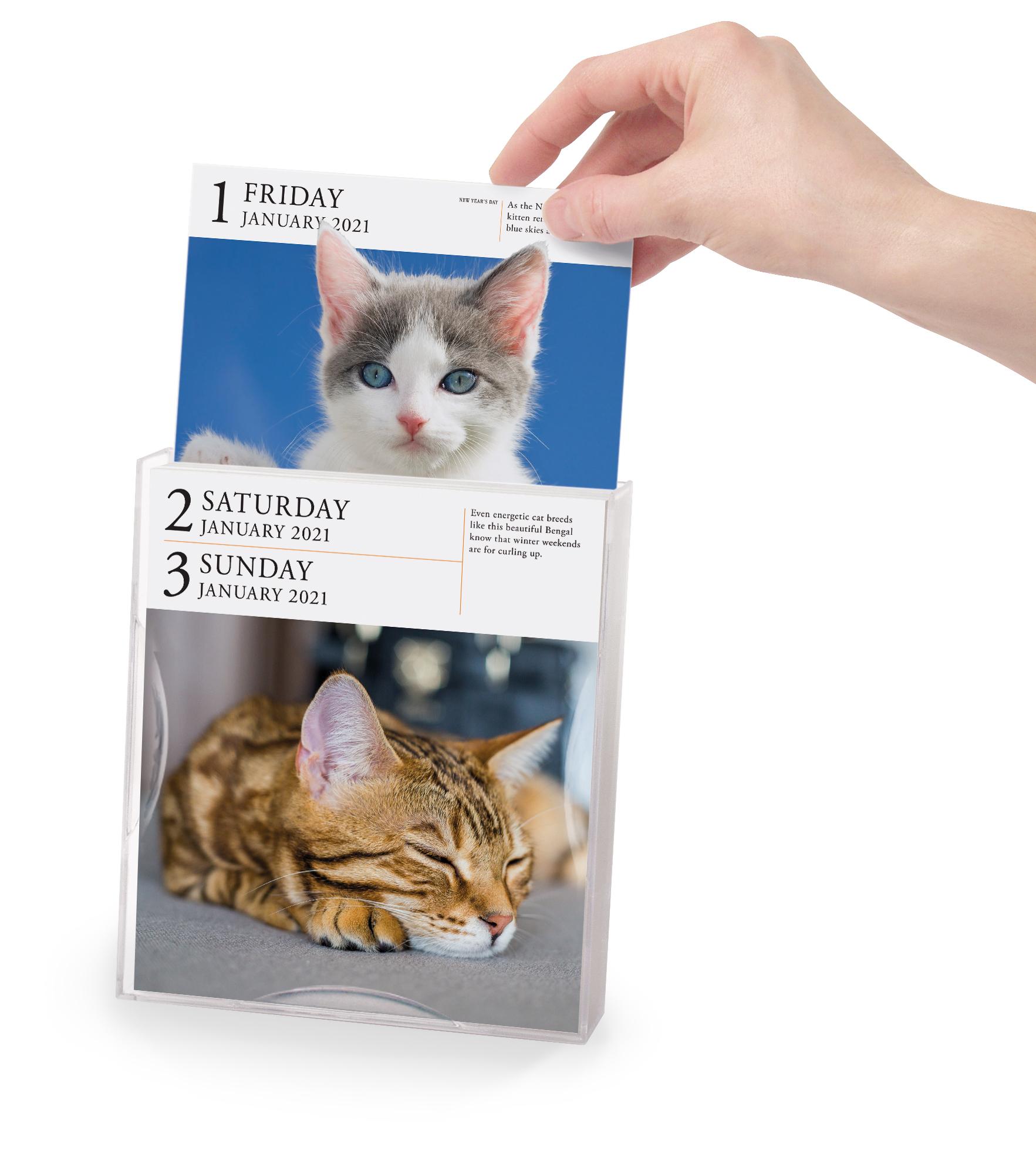 Amazon Cat Calendar - Printable Word Searches Amazon Cat Calendar - Printable Word Searches