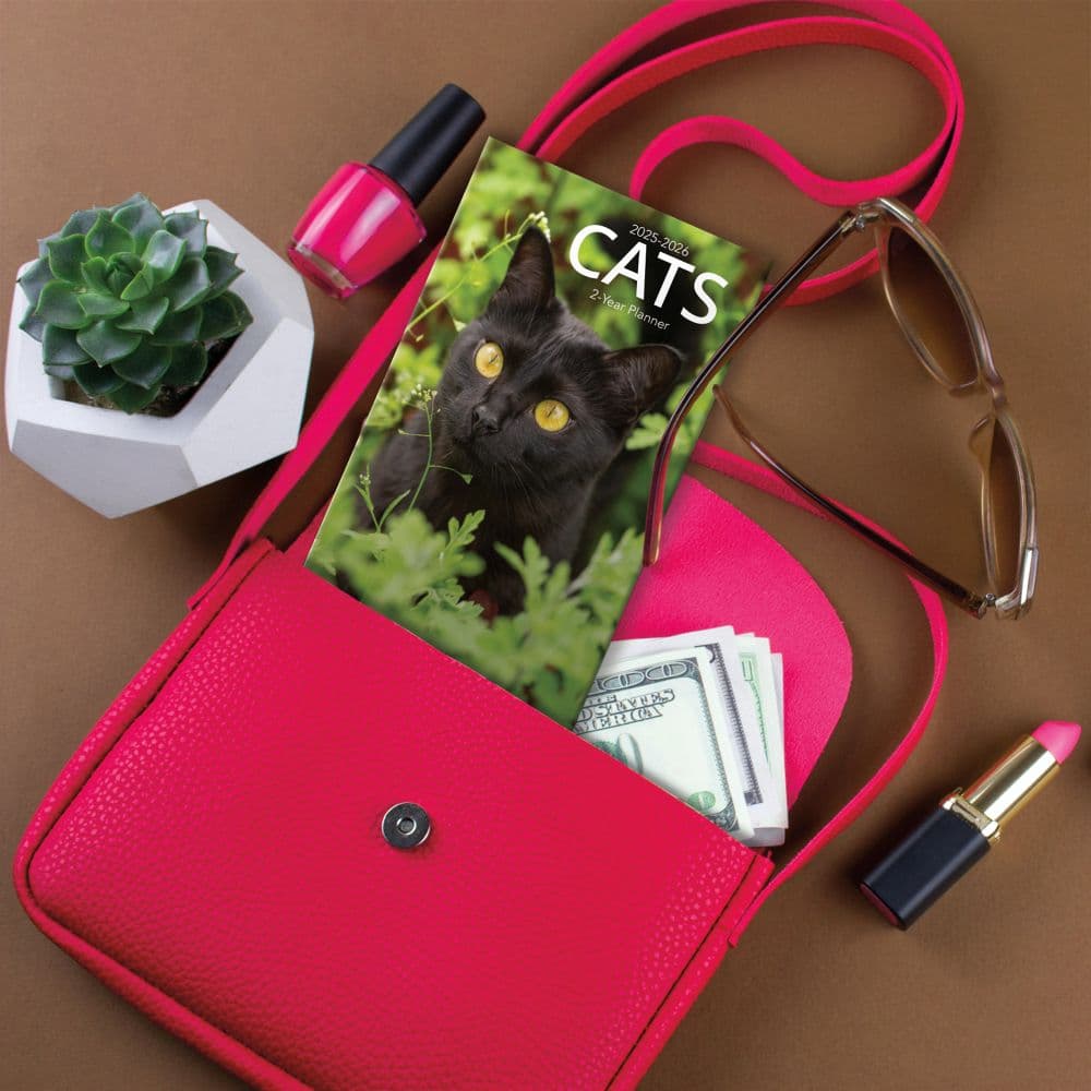 Cats 2 Year 2025 Pocket Planner Sixth Alternate Image width="1000" height="1000"