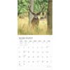 image Monster Bucks Plato 2025 Wall Calendar Second Alternate Image