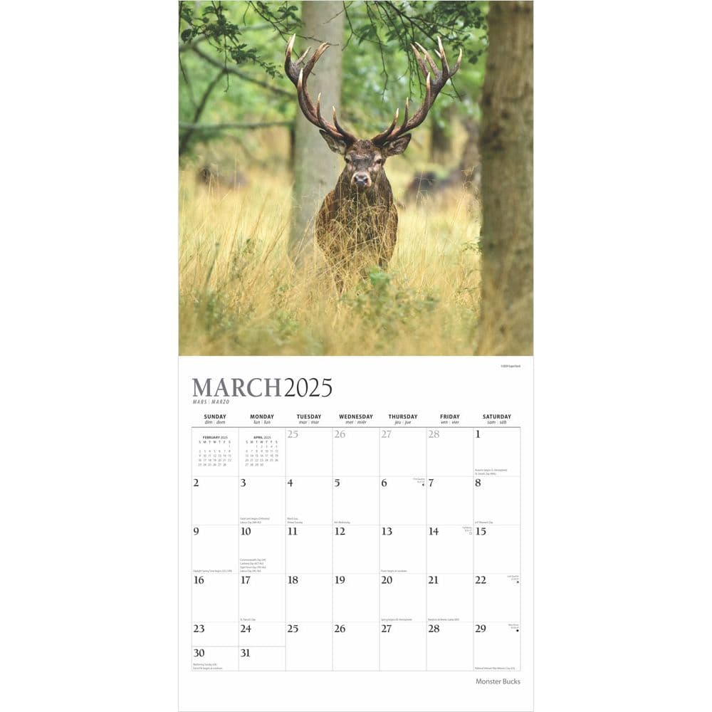 Monster Bucks Plato 2025 Wall Calendar Second Alternate Image