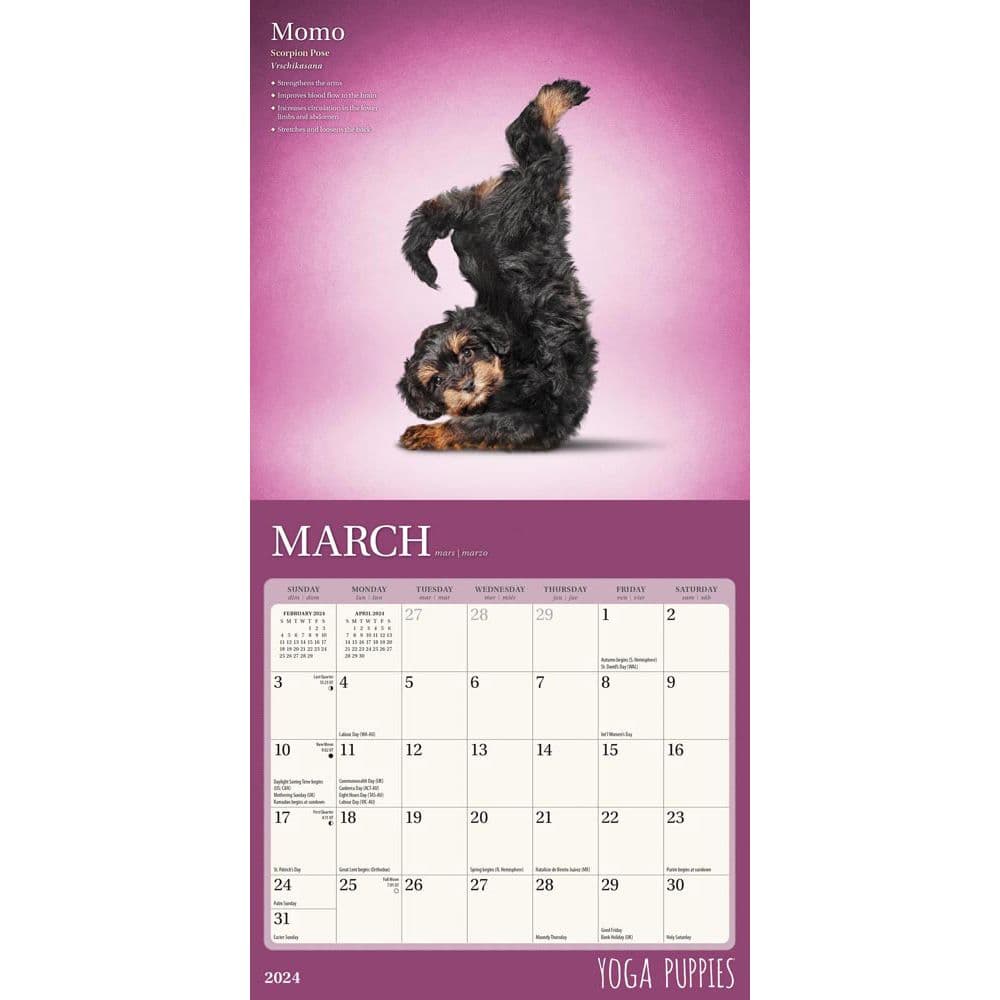 Yoga Puppies 2024 Mini Wall Calendar Second Alternate Image width=&quot;1000&quot; height=&quot;1000&quot;