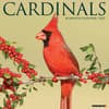 image Cardinals 2025 Wall Calendar  Main Image