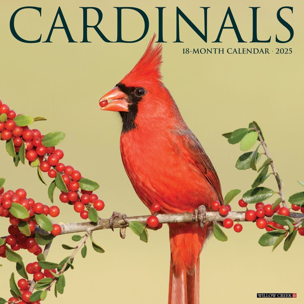 Cardinals 2025 Wall Calendar  Main Image