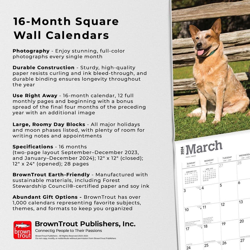Australian Cattle Dogs 2024 Wall Calendar Fourth Alternate Image width=&quot;1000&quot; height=&quot;1000&quot;