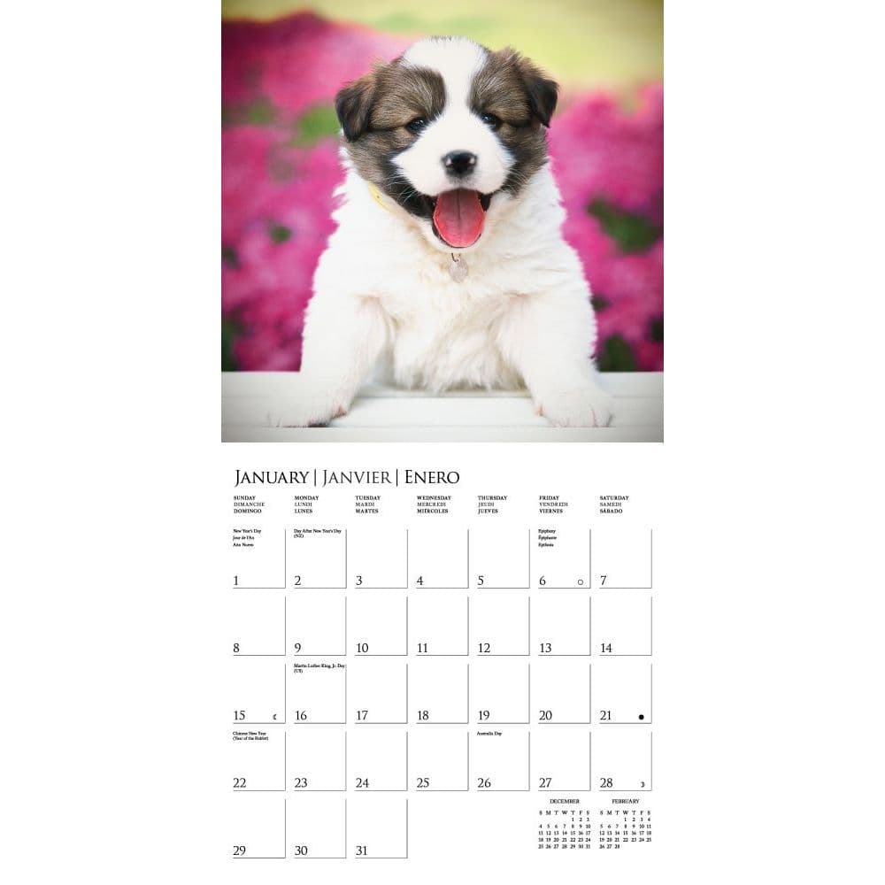 Aspca Calendar 2023 Puppy Love 2023 Wall Calendar - Calendars.com