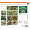 image Sloths WWF 2025 Wall Calendar First Alternate Image width="1000" height="1000"