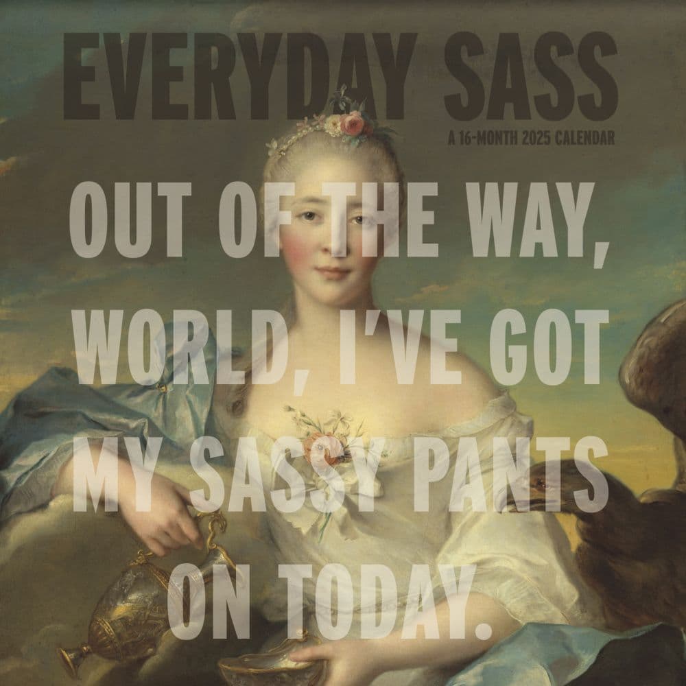 Everyday Sassy 2025 Wall Calendar Main Image