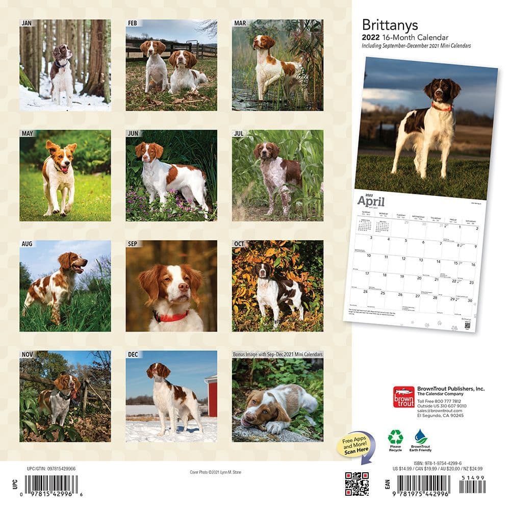 Brittanys 2022 Wall Calendar - Calendars.com