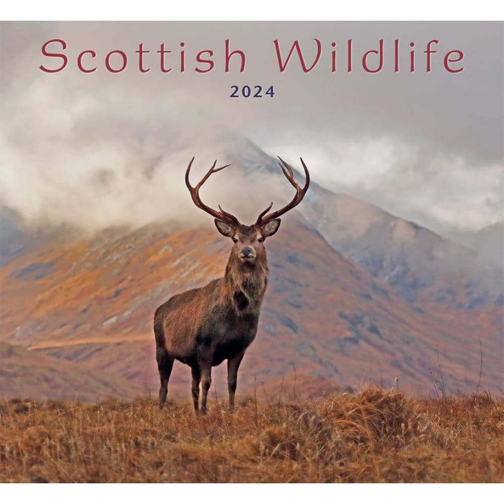 Scottish Wildlife 2024 Wall Calendar Main Image