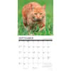 image Cats What Cats Teach Us 2024 Wall Calendar Alternate Image 2
