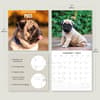 image Pugs 2025 Wall Calendar Alt3