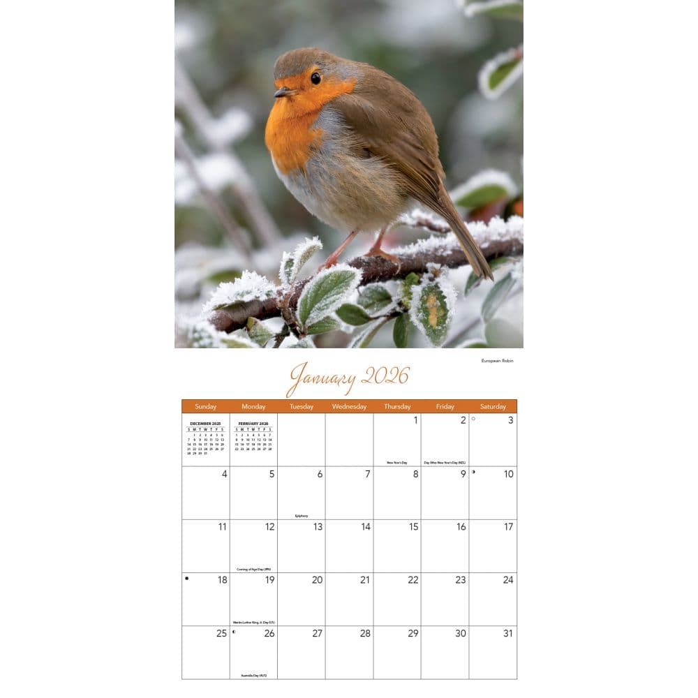 Songbirds 2026 Wall Calendar_ALT3